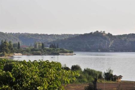 Aristotelis - 16
