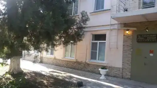 Сосновая роща - 0
