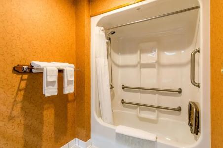 Quality Inn South - 56