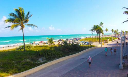 The Palms - 13