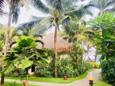 Cham Villas Resort - 49