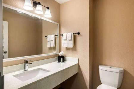 Quality Inn & Suites - 58