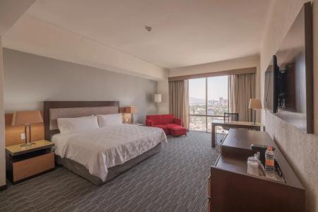 Holiday Inn Guadalajara Select, An Ihg - 73