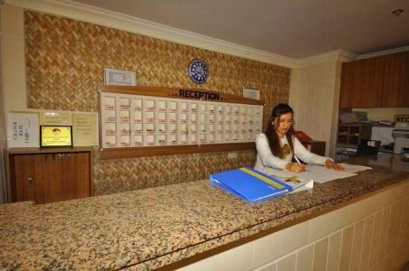 Golden Star - 19