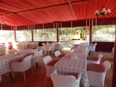 Koru Beach Club - 17