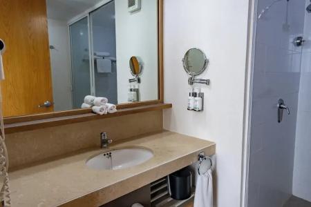 Holiday Inn Express Mexico Reforma - 76