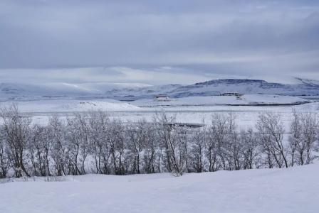 Hamar - 64