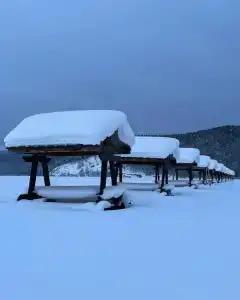 Устье - 15