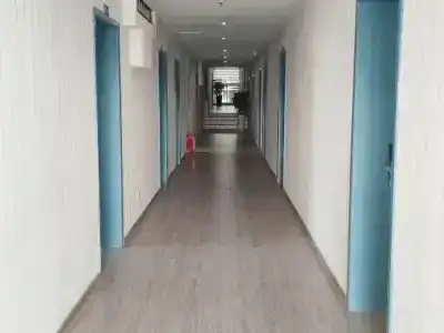 Xingcai - 1