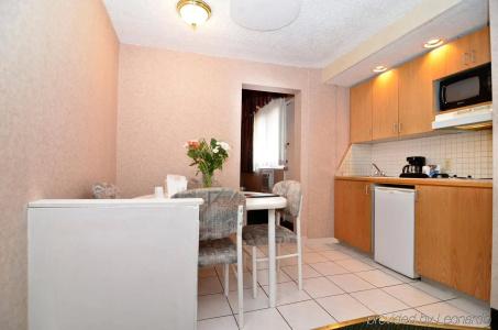 Econo Lodge Village - 27