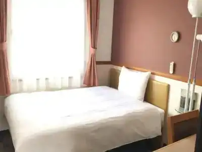 Toyoko Inn Kawasaki Ekimae Isago - 3