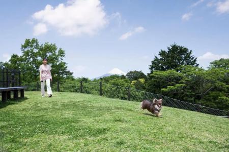 Izu Marriott Shuzenji - 79