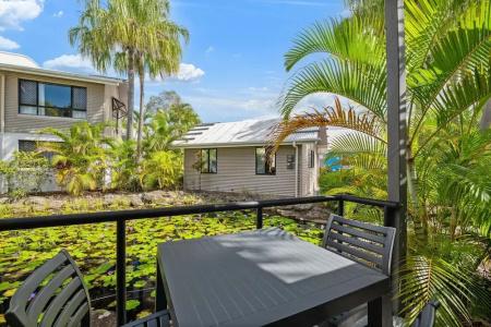 Ivory Palms Noosa - 64