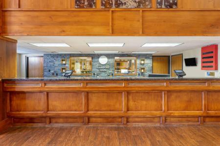 Comfort Inn at Thousand Hills - 30