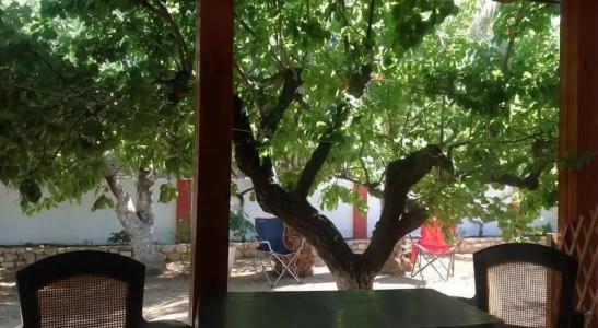 Petras Beach - 25