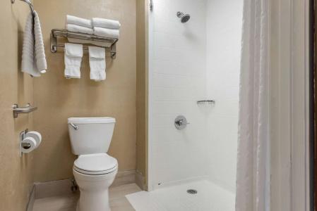 Comfort Inn South - 7