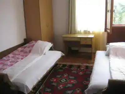 Guest house Pribojska Banja - 14