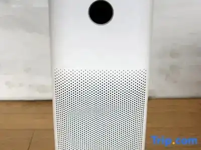 Le Joy - 45