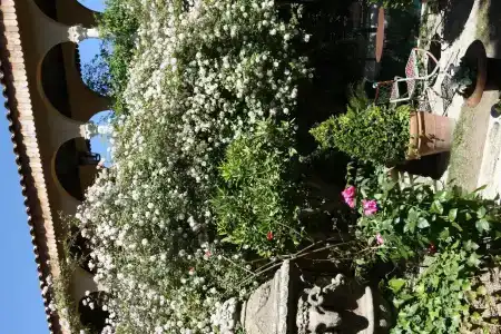 Jardins Secrets - 17