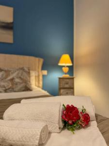 Pharus miseni B&B - 37