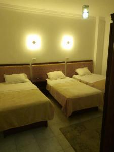 Arabian Nights Hostel - 57