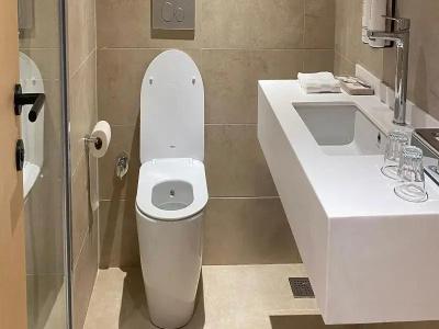 Crowne Plaza Istanbul Harbiye, an IHG - 12