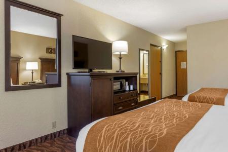 Comfort Inn at Thousand Hills - 52