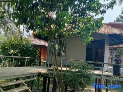 Tamsabai - 67