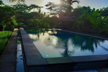 Ubud Sari Health Resort - 31