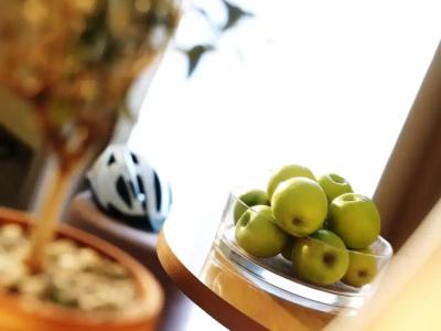 Act-Ion Neptun – Terme & Wellness Lifeclass - 10