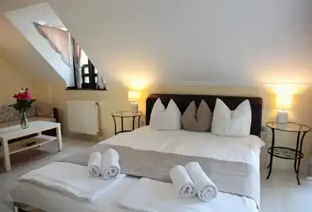 Adler & Wellness - 1