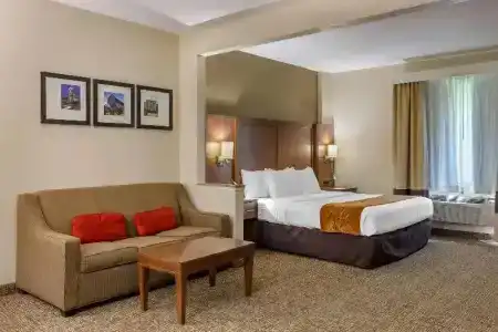 Comfort Suites Walnut Creek - 41