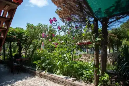 Aral Tatil Ciftligi - 34