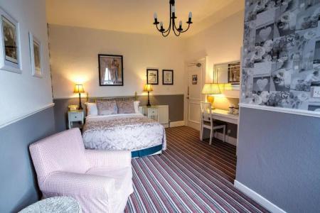 The Ascott - 51