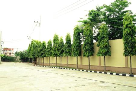 Amarin Grand - 10