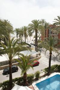 El Palmeral - 65
