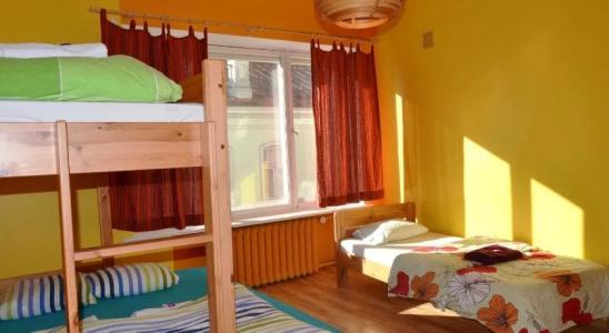 Viru Backpackers - 4
