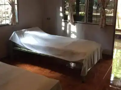 Sam's Jungle - 17