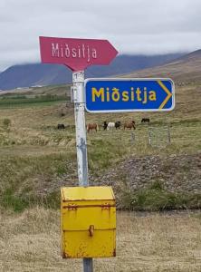 Midsitja - 20