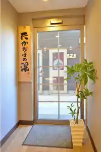 Super Miyazaki Natural Hot Springs - 10