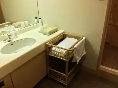 Kinugawa Onsen Sanraku - 46