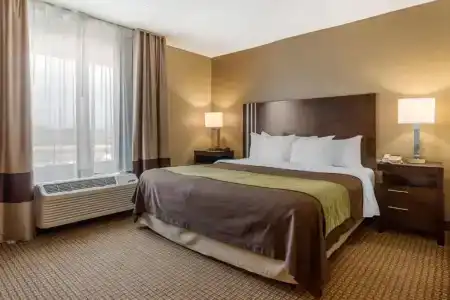Comfort Inn 290/Nw - 69