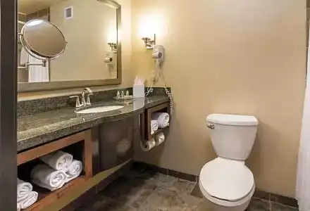 Holiday Inn & Suites Downtown, an IHG - 54
