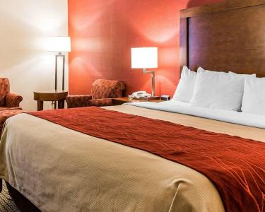 Comfort Inn Boston - 6