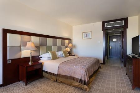 Grand Excelsior - 6