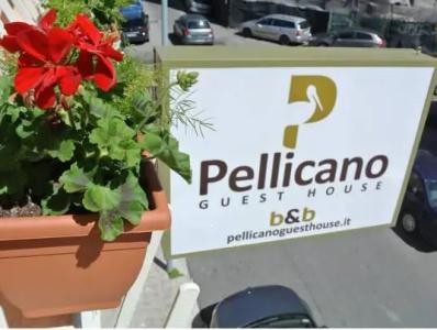 b&b Pellicano Guest House - 45
