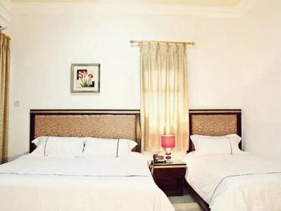 Golden Rose - 6