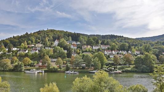 Neckarlux - 41