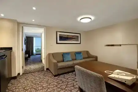 Embassy Suites by Hilton/ Fallsview - 46