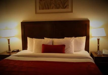 Ramada by Wyndham Denver International Airport - 20